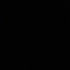 Meet your Posher, Lila